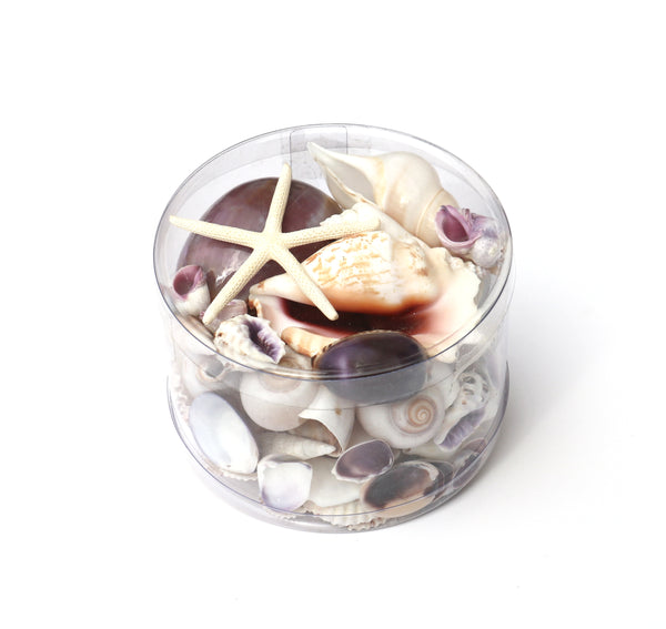 Premium Seashell Pack - Purple Paris